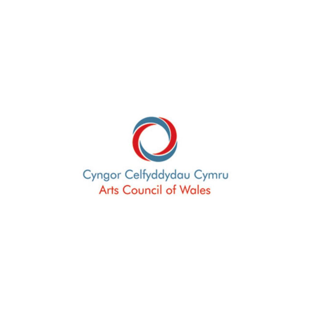 Arts Council Wales thumbnail