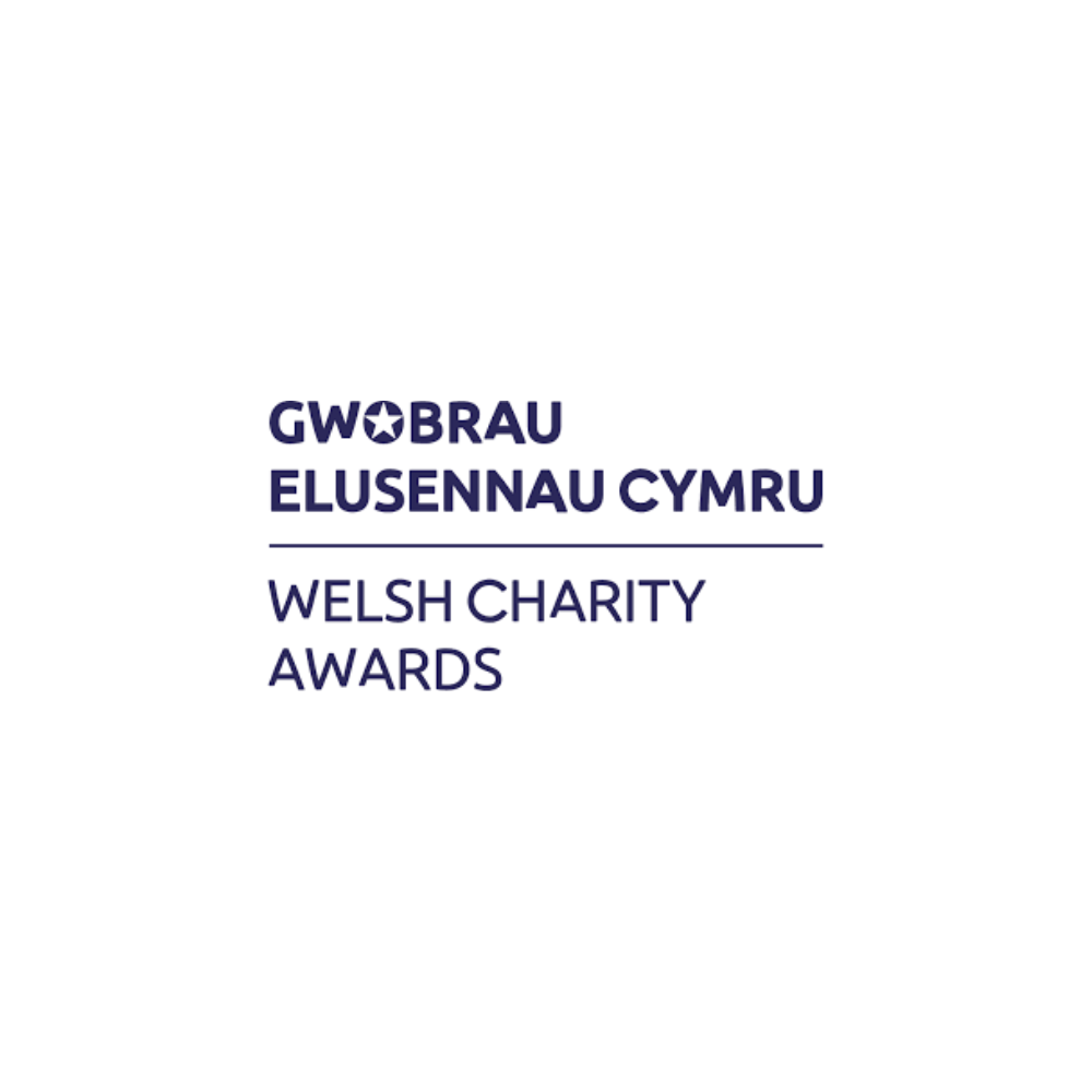Welsh Charity Awards
