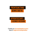 WEBSITE THUMBNAIL 25