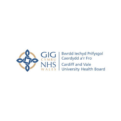 University Hospital Llandough Hospital Visiting Survey C3SC