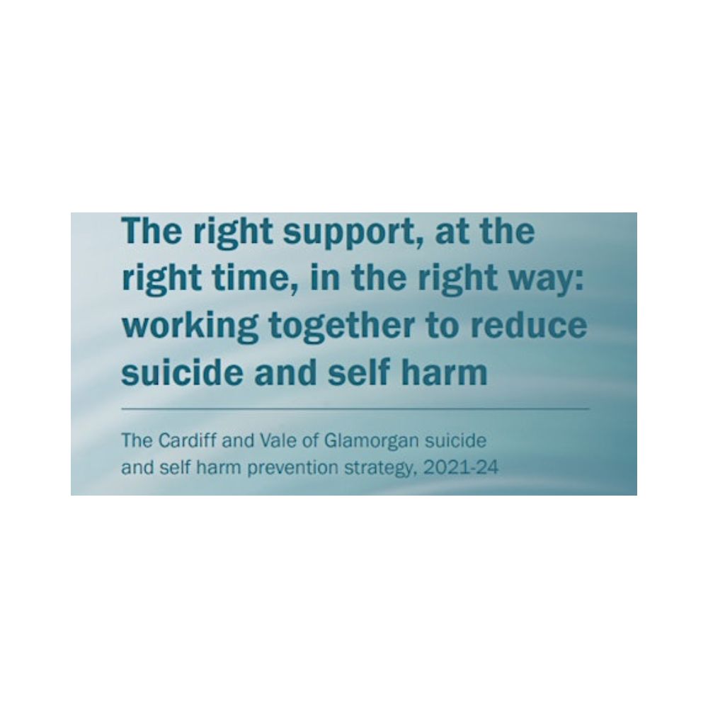 Wales Suicide and Self Harm Prevention Programme thumbnail