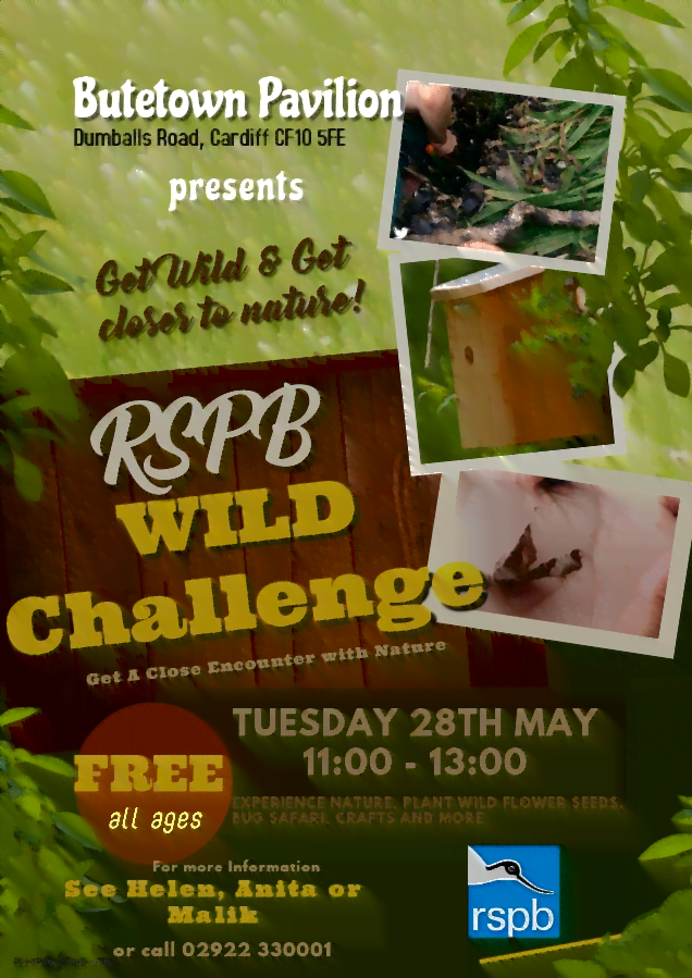 Wild Challenge eng
