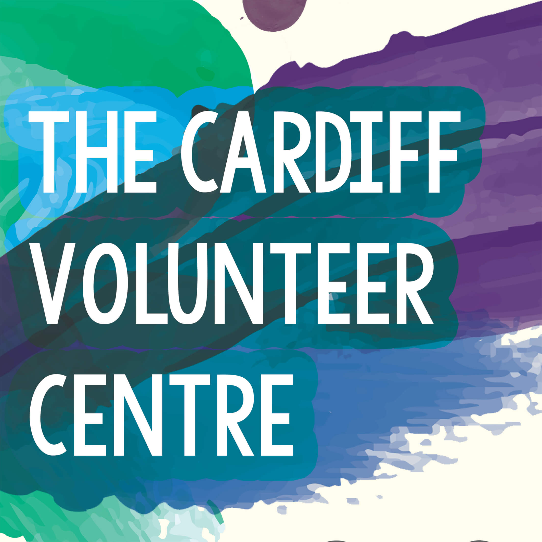 cardiff third sector council volunteering opportunities 1