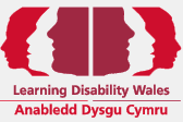 disability wales logo