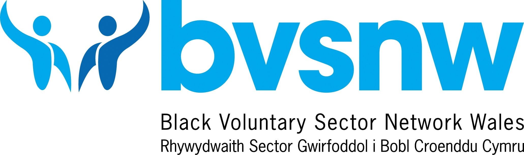 BVSNW-logo